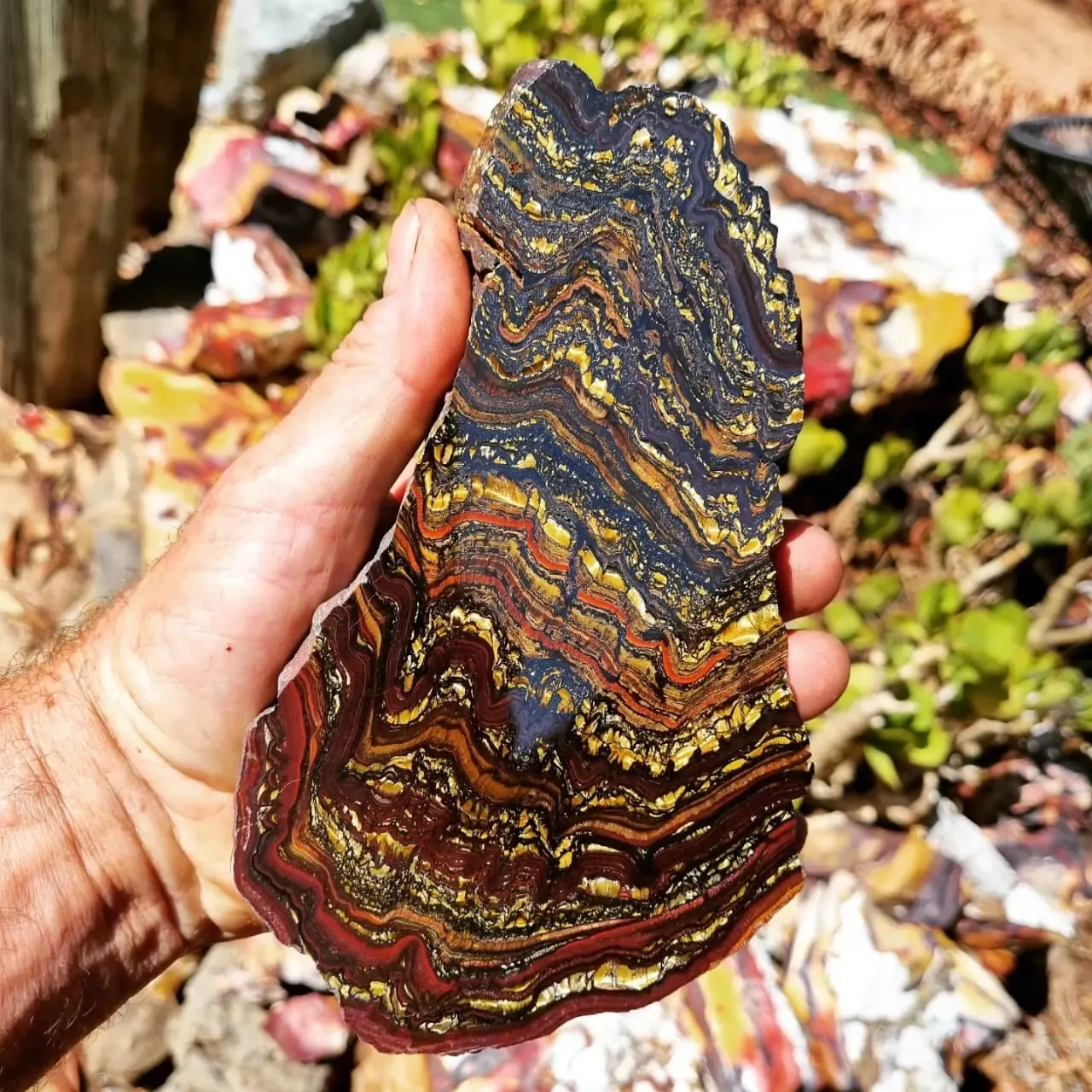 «Tiger Iron» — уникальный поделочный камень, который можно найти только в регион… — фото 4