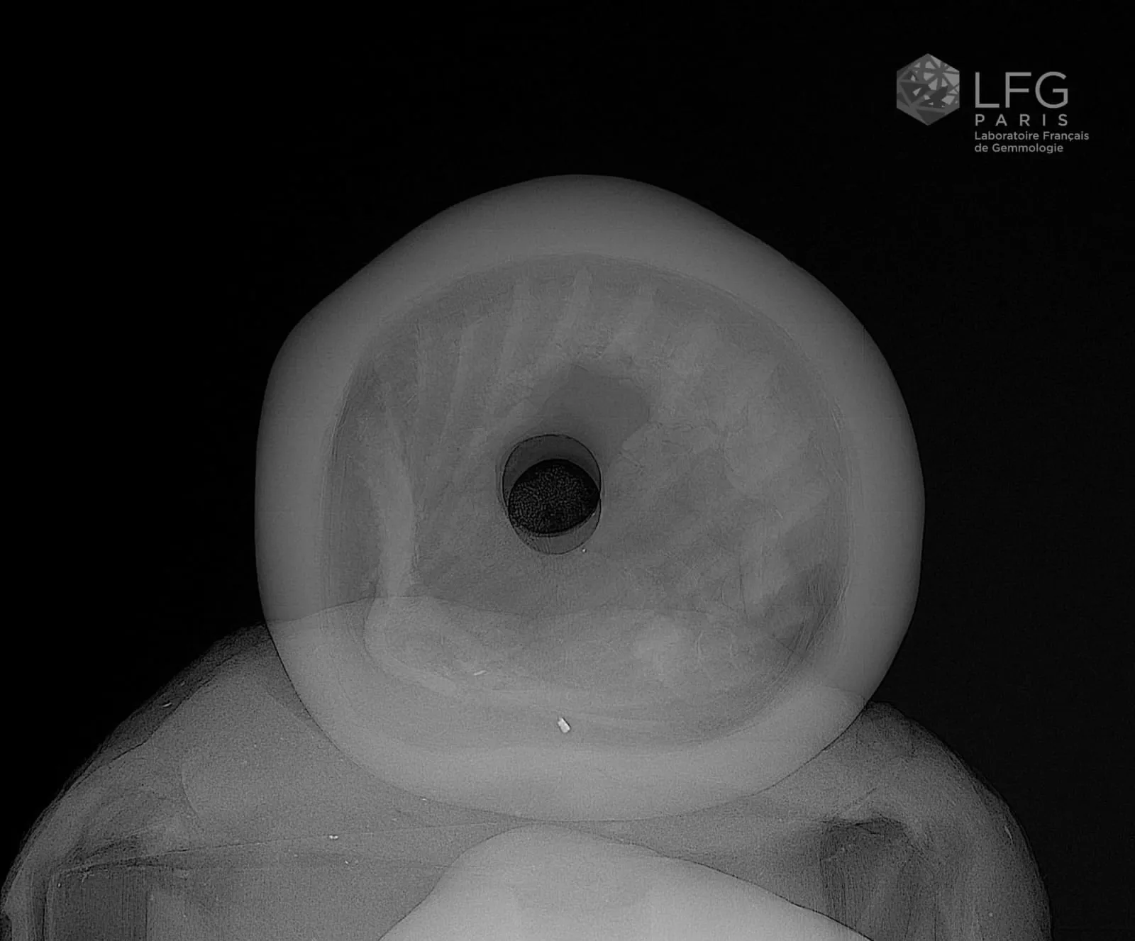 Во Французскую геммологическую лабораторию (Laboratoire Français de Gemmologie),… — фото 2