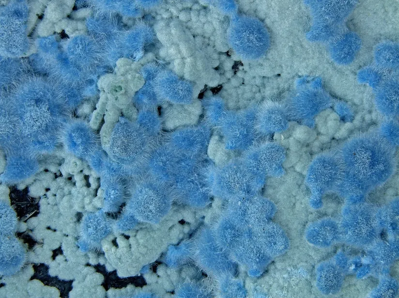 Шаттукит (англ. Shattuckite). — фото 3