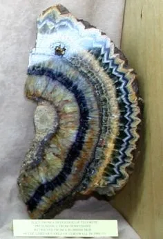 Флюорит «Синий Джон» («Blue John»). — фото 5