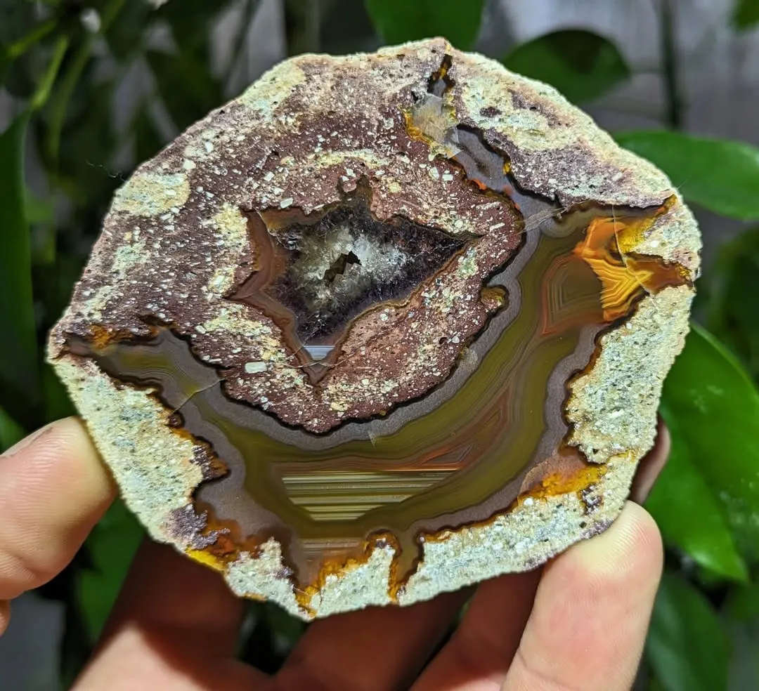 Разрезанные сферы с «Hohenstein-Ernstthal Thunderegg» внутри, из Саксонии, Герма… — фото 1