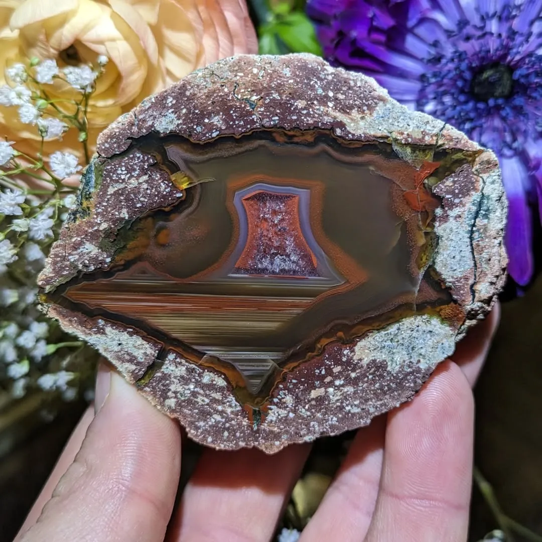 Разрезанные сферы с «Hohenstein-Ernstthal Thunderegg» внутри, из Саксонии, Герма… — фото 3
