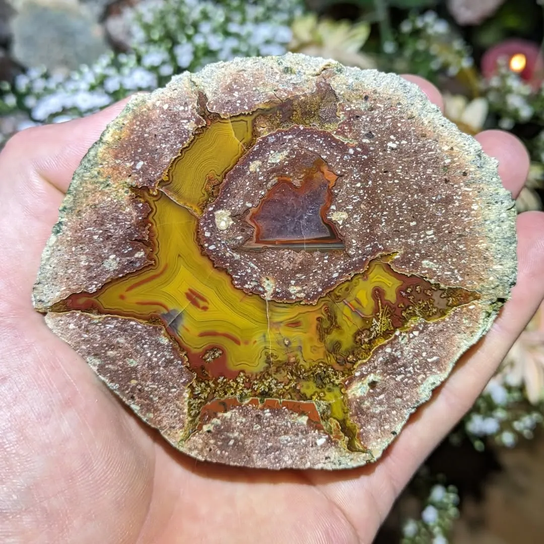 Разрезанные сферы с «Hohenstein-Ernstthal Thunderegg» внутри, из Саксонии, Герма… — фото 4