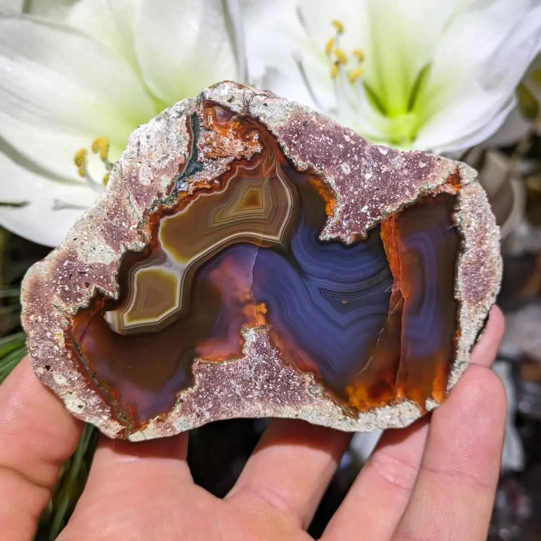 Разрезанные сферы с «Hohenstein-Ernstthal Thunderegg» внутри, из Саксонии, Герма… — фото 6