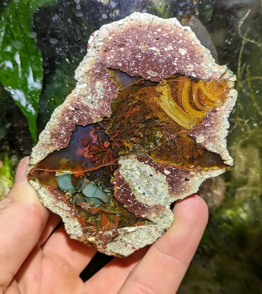 Разрезанные сферы с «Hohenstein-Ernstthal Thunderegg» внутри, из Саксонии, Герма… — фото 8