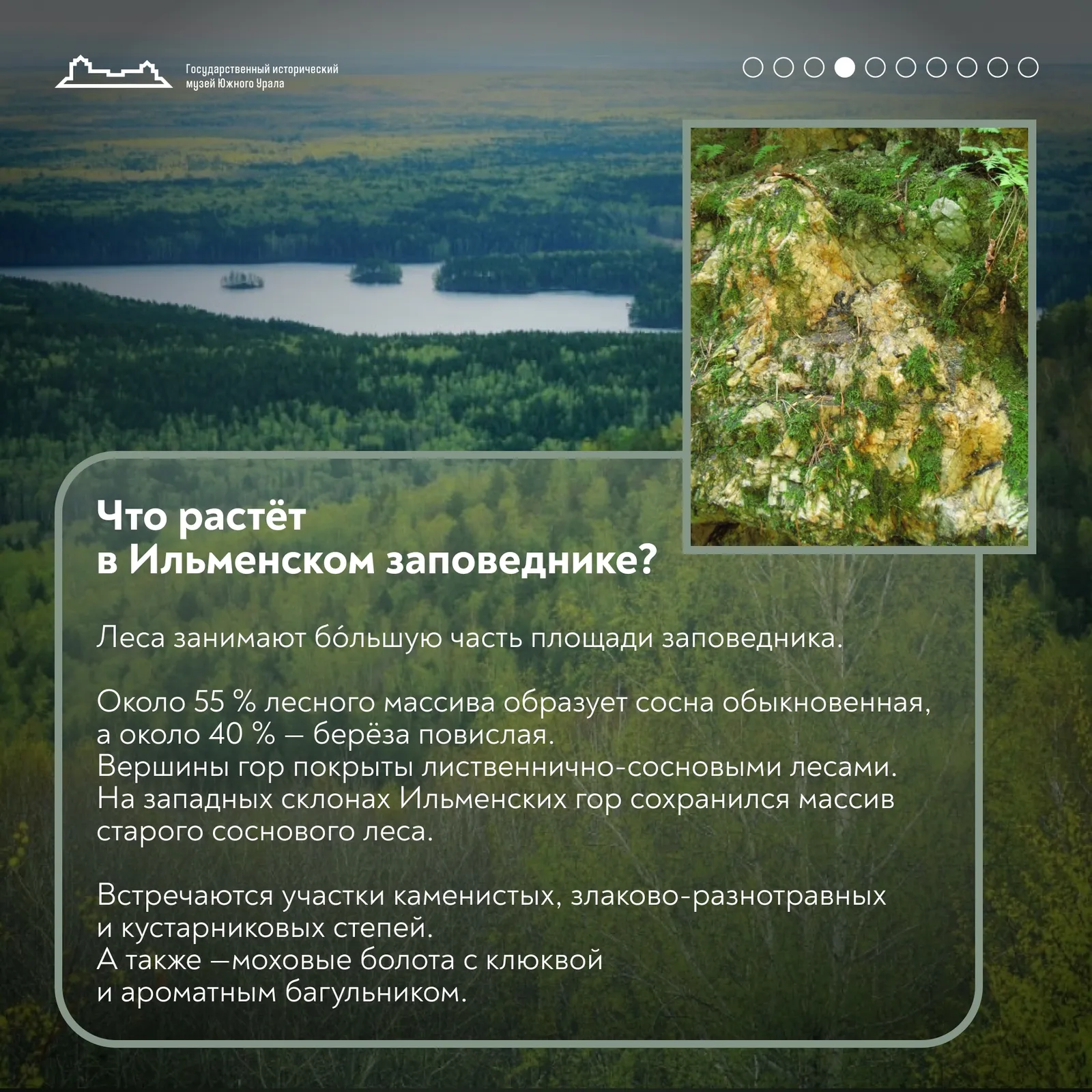 Сегодня Ильменскому государственному заповеднику исполняется 105 лет ! — фото 4