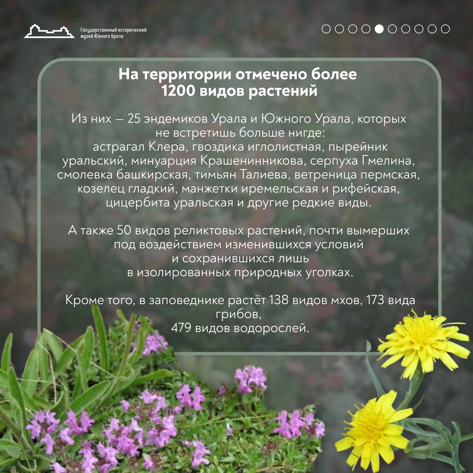 Сегодня Ильменскому государственному заповеднику исполняется 105 лет ! — фото 5
