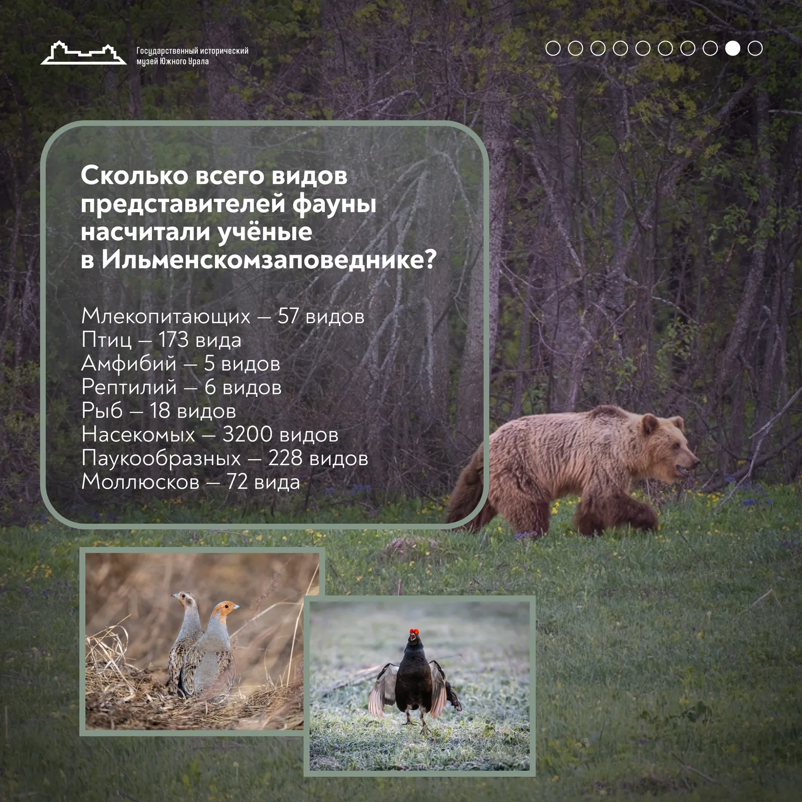 Сегодня Ильменскому государственному заповеднику исполняется 105 лет ! — фото 9