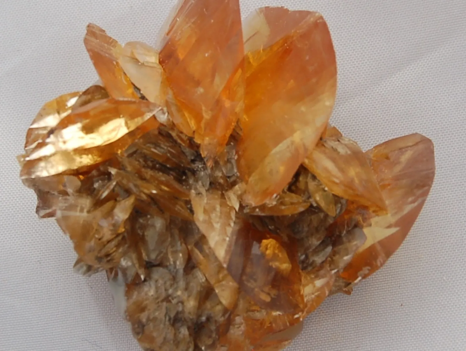 Это «Duckbill Selenite» (или гипс «утиные клювы»), из Red River Floodway, в Винн… — фото 2