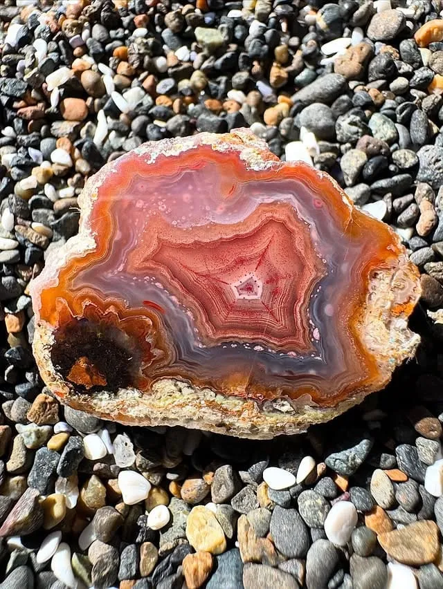 «Агат Лагуна» («Laguna agate»), — торговое название полосчатого халцедона, из Ме… — фото 9