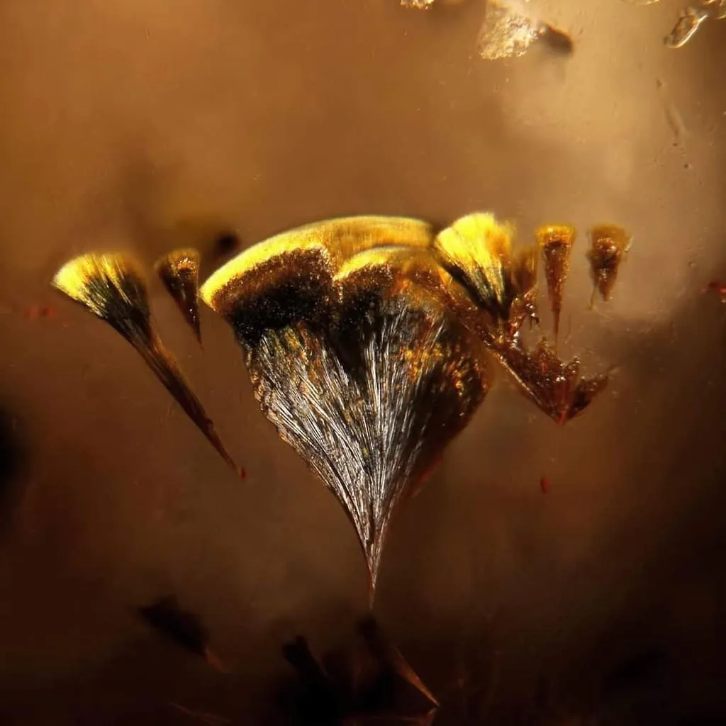 14. Включения гётита* в кварце. — фото 7