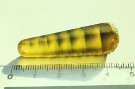 «The Tomahawk Tiger» - это название, которое было дано природному сапфировому кр… — фото 6