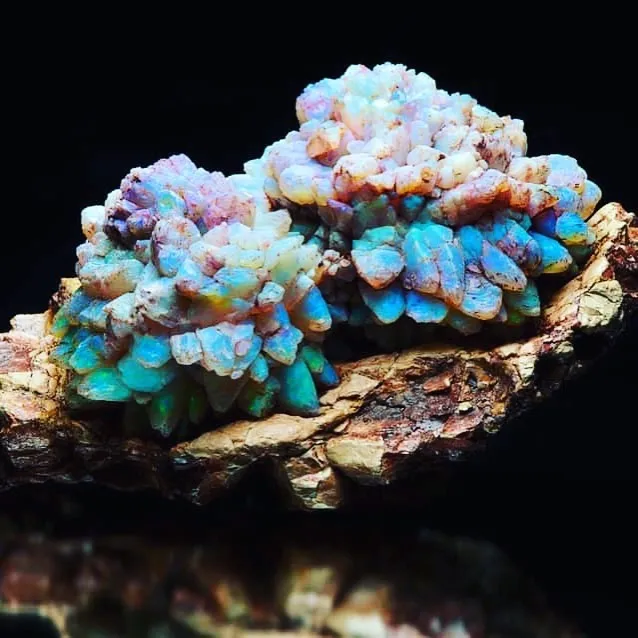 "Opal Pineapple" (Опаловый ананас). — фото 2