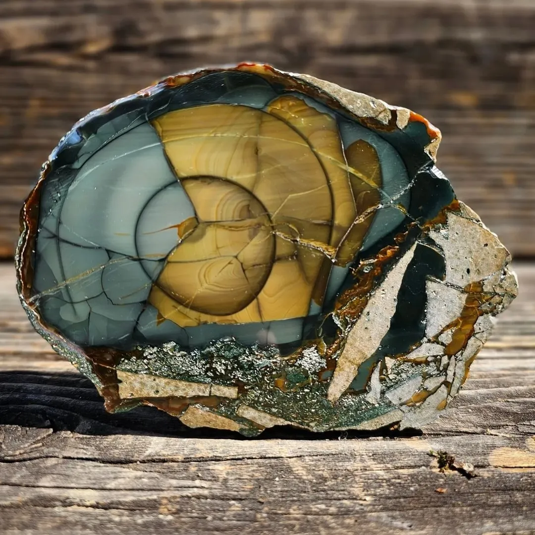 «Blue Mountain Jasper», из Орегона, торговое название, одной из яшм премиум-клас… — фото 2
