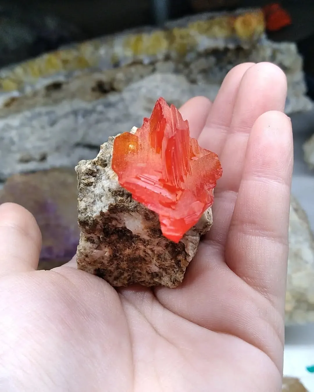 Выращенные (лабораторные) кристаллы арканита* (lab grown Arcanite), из Польши. — фото 6