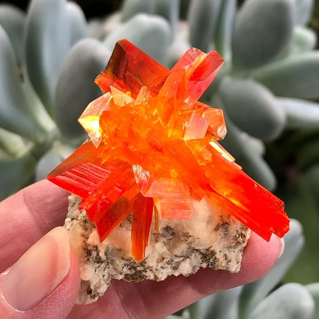 Выращенные (лабораторные) кристаллы арканита* (lab grown Arcanite), из Польши. — фото 7