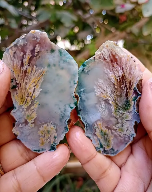 Перистый «гранатовый» агат («Persian pomegranate plume agate»), из Ferdows, Иран — фото 2