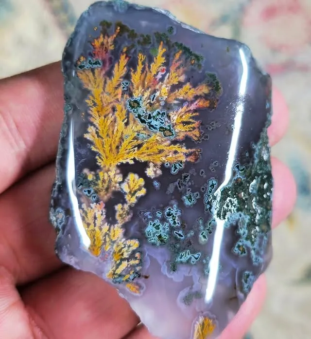 Перистый «гранатовый» агат («Persian pomegranate plume agate»), из Ferdows, Иран — фото 3