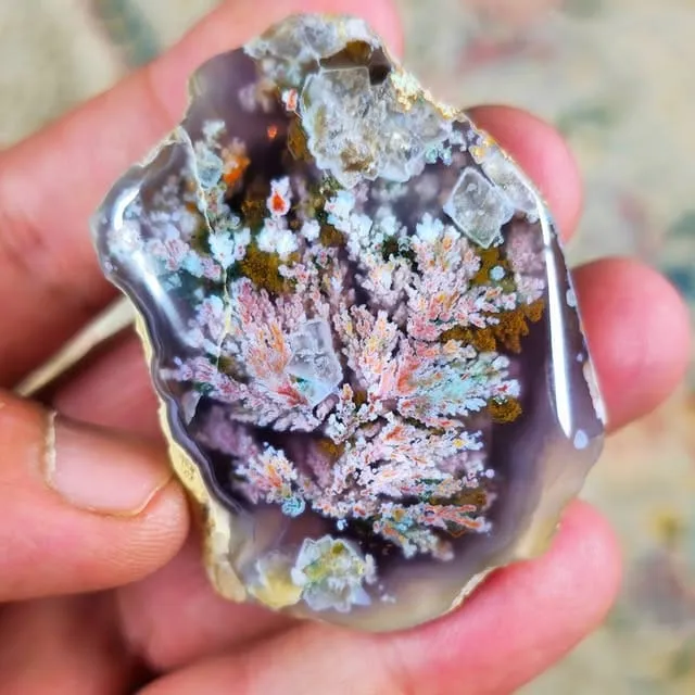 Перистый «гранатовый» агат («Persian pomegranate plume agate»), из Ferdows, Иран — фото 4
