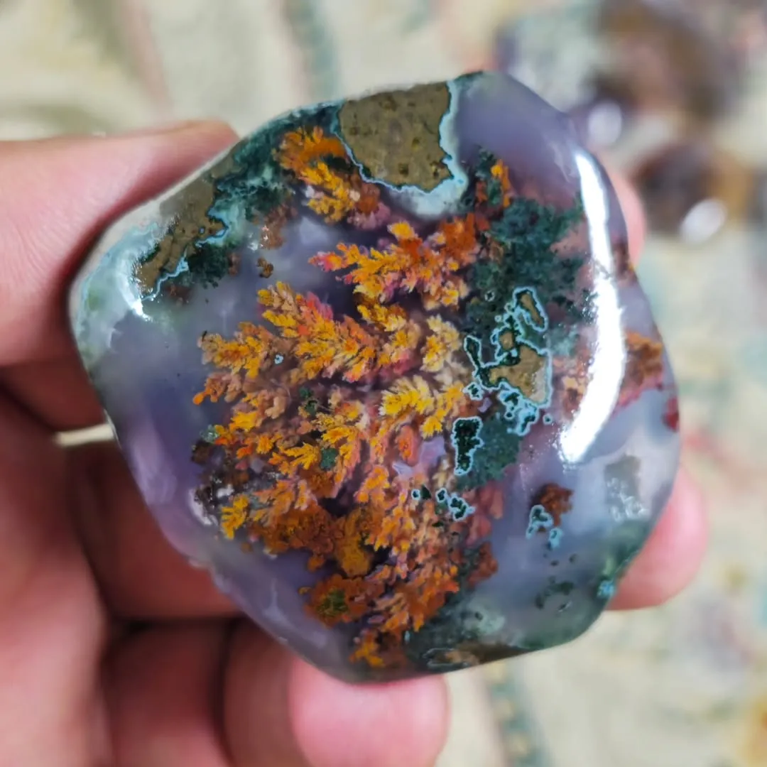 Перистый «гранатовый» агат («Persian pomegranate plume agate»), из Ferdows, Иран — фото 7