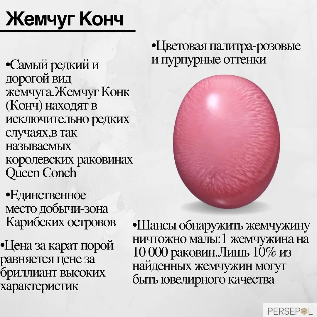 Жемчуг Конк или Конч (Conch – англ., Konku – яп.) извлекается из брюхоногого мол… — фото 1