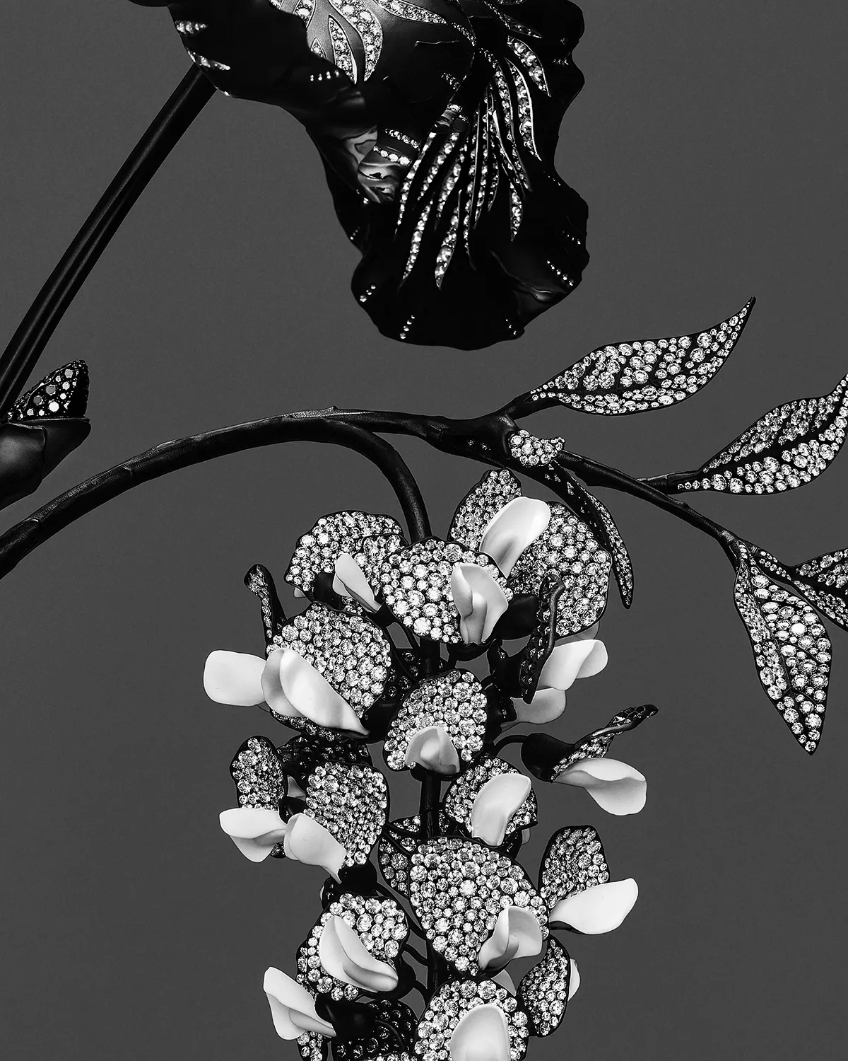 Новая коллекция Бушерон (Boucheron) — фото 3