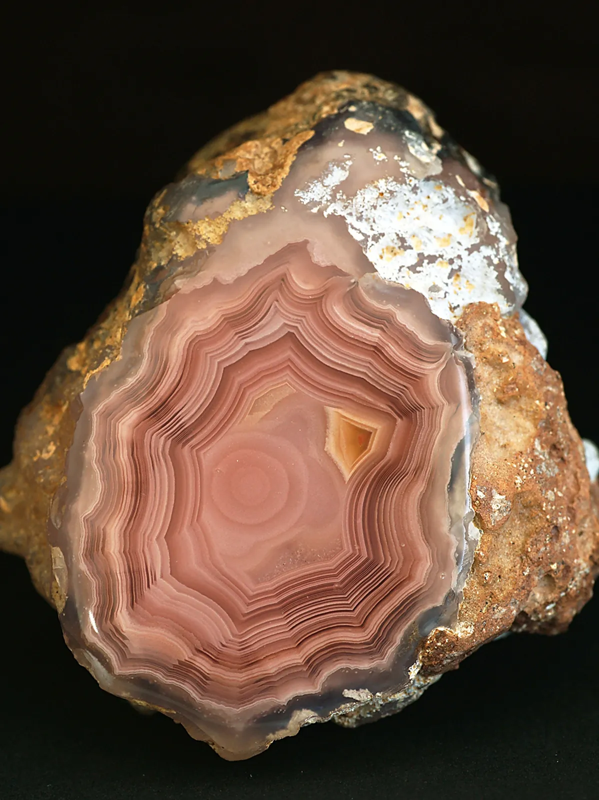 «Agates Laguna» из Estacion Ojo Laguna, муниципалитет Ахумада, Чиуауа, Мексика — фото 3