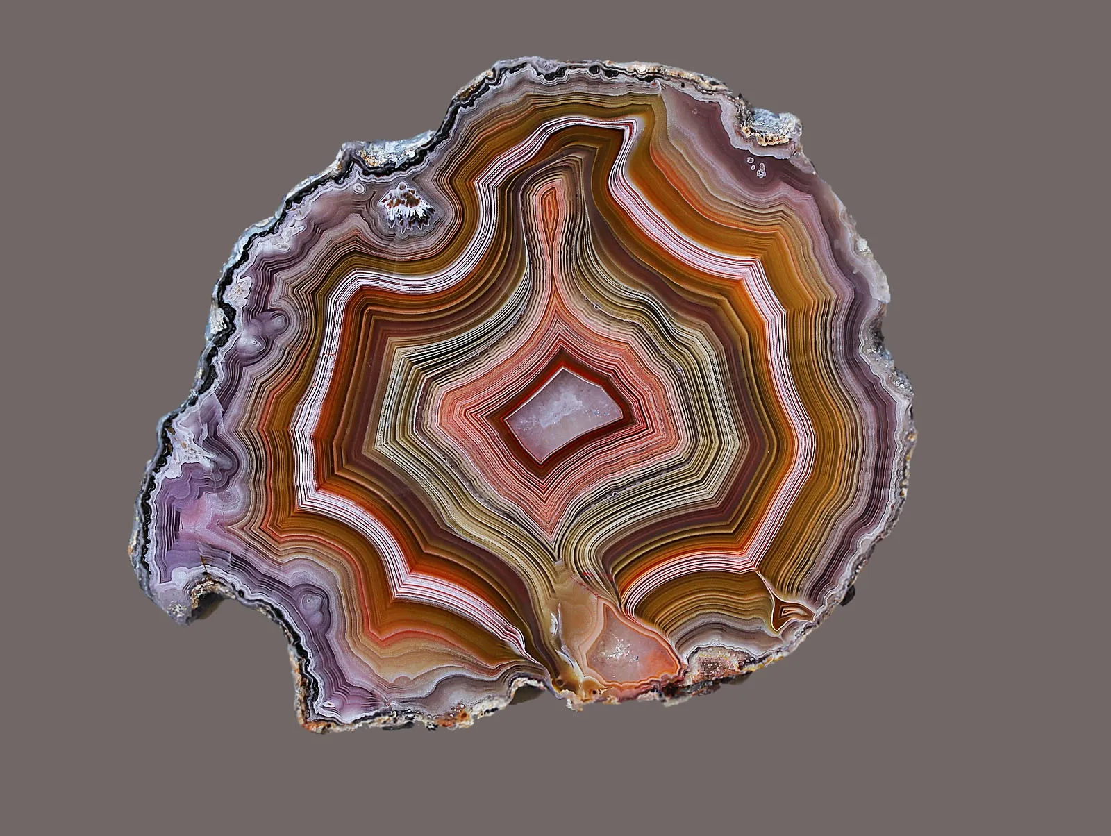 «Agates Laguna» из Estacion Ojo Laguna, муниципалитет Ахумада, Чиуауа, Мексика — фото 6