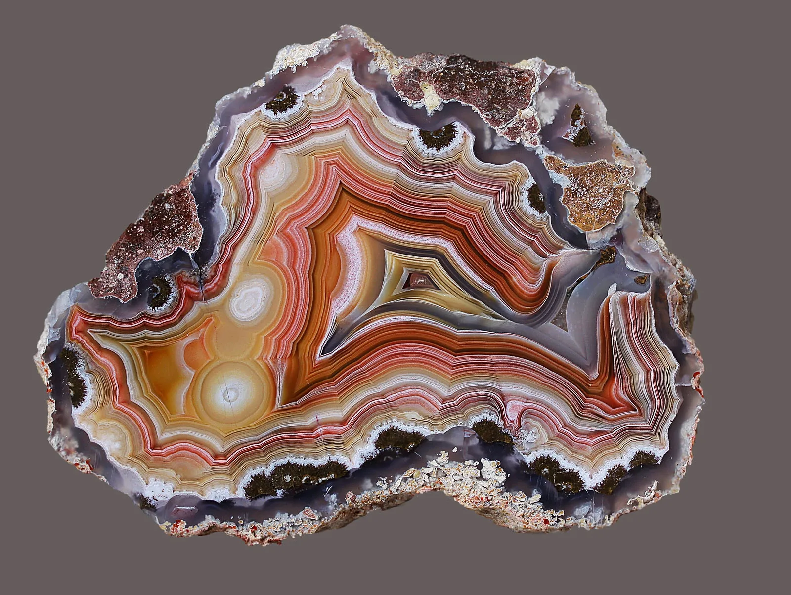 «Agates Laguna» из Estacion Ojo Laguna, муниципалитет Ахумада, Чиуауа, Мексика — фото 7