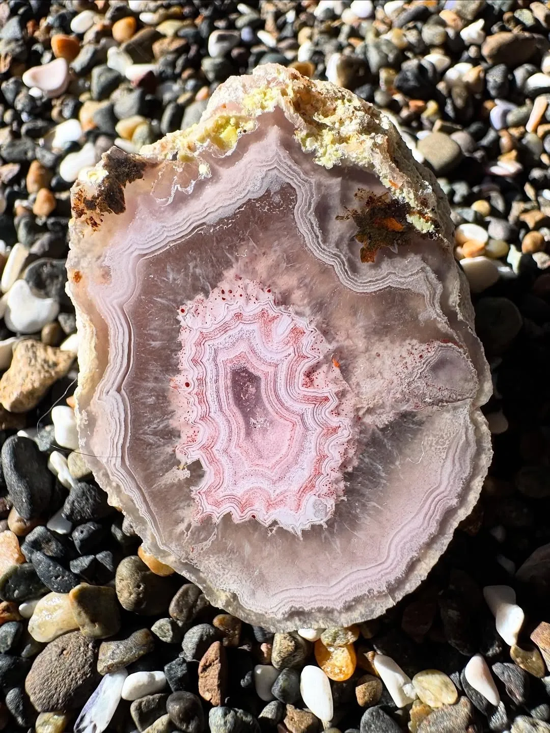 «Agates Laguna» из Estacion Ojo Laguna, муниципалитет Ахумада, Чиуауа, Мексика — фото 8
