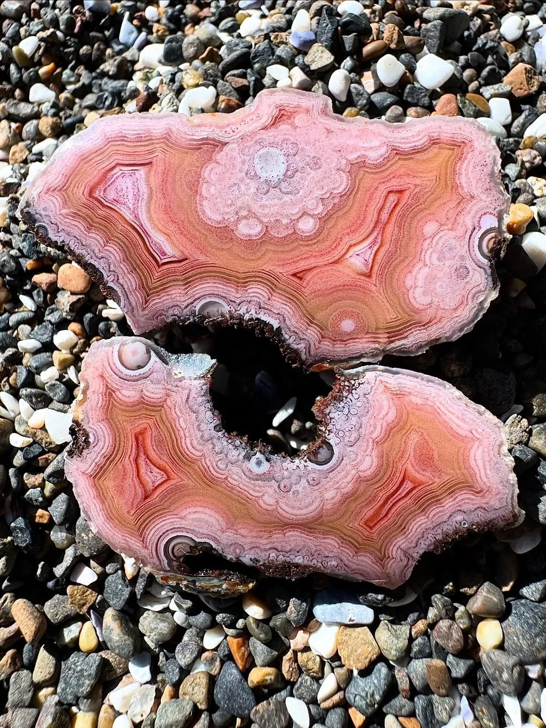 «Agates Laguna» из Estacion Ojo Laguna, муниципалитет Ахумада, Чиуауа, Мексика — фото 9