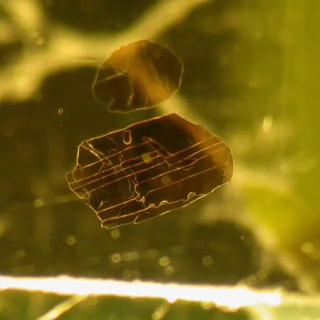 Включения в оливине. — фото 5