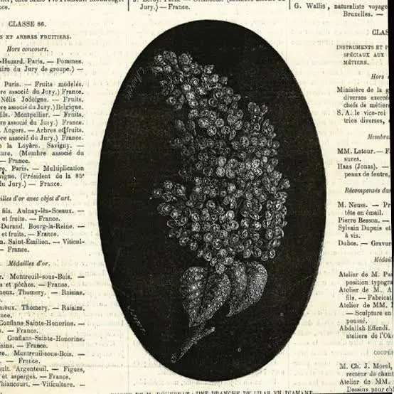 Броши «Сирень» императрицы Евгении (Empress Eugenie’s Lilac Spray Brooches) — фото 3