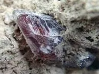 > Уже довольно старая, но до сих пор живая актуальная тема, вызывающая резонанс … — фото 6