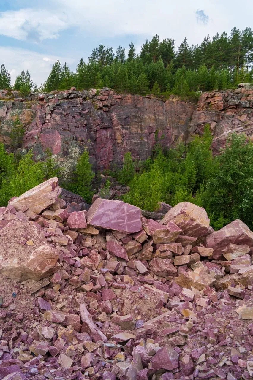 В Республике Карелия расположено единственное в мире месторождение малинового (ш…