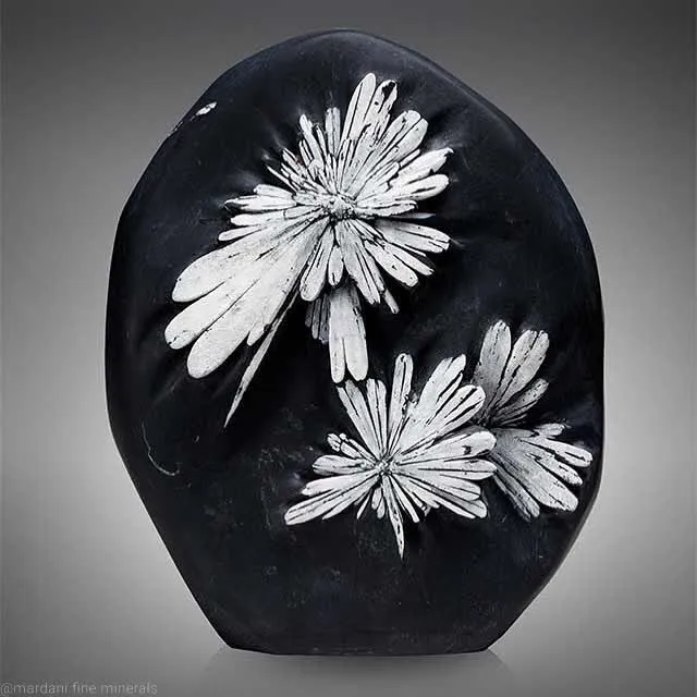 «Хризантемный камень»—это черно-белая порода, состоящая из гипса, глины, доломит… — фото 8