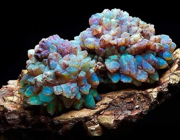 "Opal Pineapple" (Опаловый ананас). — фото 1