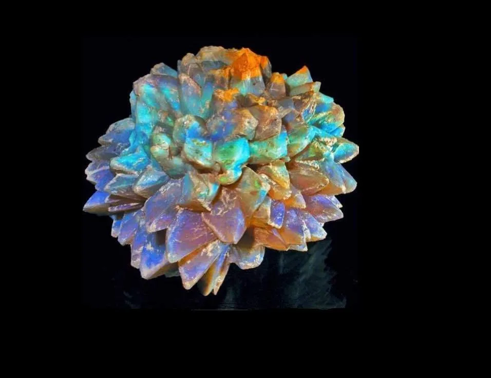 "Opal Pineapple" (Опаловый ананас). — фото 2