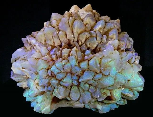 "Opal Pineapple" (Опаловый ананас). — фото 4