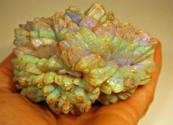 "Opal Pineapple" (Опаловый ананас). — фото 5