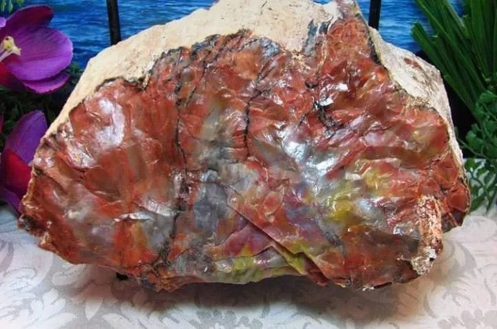 Национальный парк Пе́трифа́йд-Фо́рест (англ. «Petrified Forest» — «Окаменелый ле… — фото 9