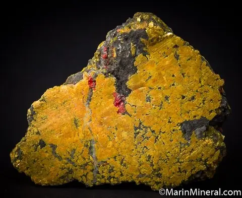 Псевдоморфозы реальгара и аурипигмента, по окаменелому кораллу, Gold Bar Mine, E…