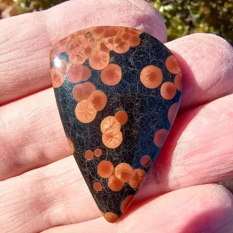 «Peanut Obsidian» («Арахисовый обсидиан») — это торговое название одной из разно…